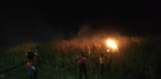 Brigadas contra incendios forestales en el sur de Anzoátegui
