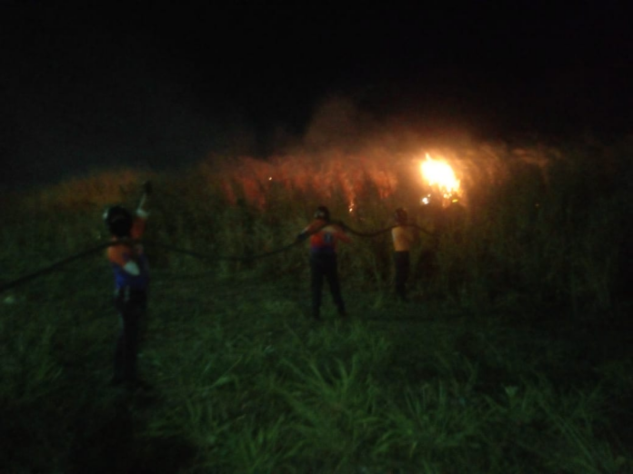 Brigadas contra incendios forestales en el sur de Anzoátegui