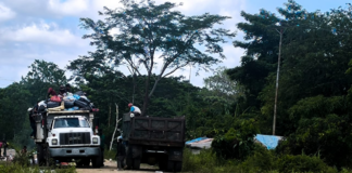 Camiones del aseo urbano en Tucupita