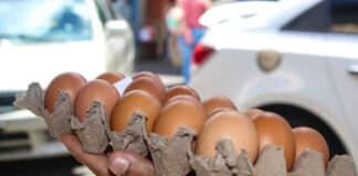 Cartón de huevos bajó de precio en Tucupita… aunque no mucho