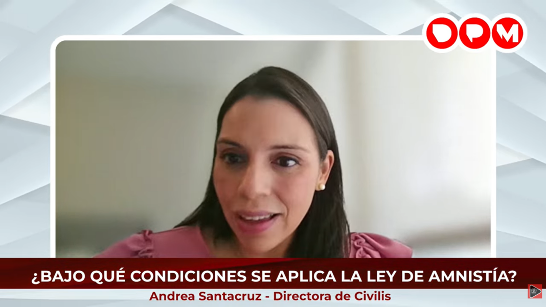 Ley de Amnistía