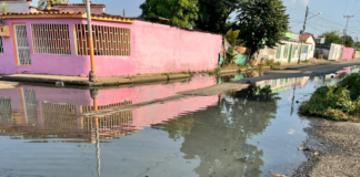 Barrio Francisco de Miranda de San Fernando navega entre las aguas servidas Barrio Francisco de Miranda entre aguas servidas