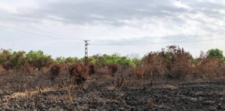 Ambientalista insta a crear políticas para cuidar los suelos