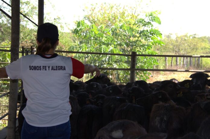 somos fe y alegria
