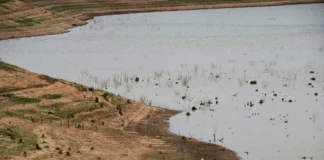 Experta alerta que la sequía podría impactar el suministro de agua desde abril