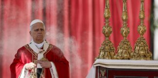 El papa pidió deponer las armas y recordar la hermandad