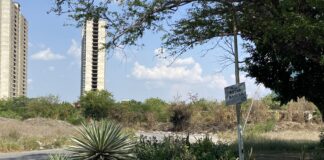 Urbanización Andrés Eloy de Barquisimeto en crisis por acumulación de basura
