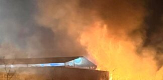 Incendio forestal amenazó a zonas en San Fernando de Apure