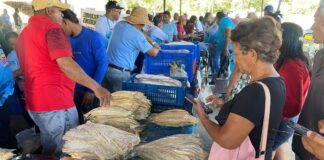 Maturín se prepara para Semana Santa: entre el ahorro y la fe por el tradicional cuajado