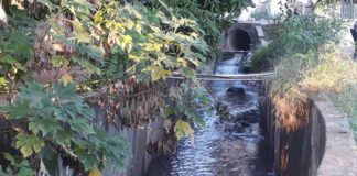 Alertan sobre colapso de aguas servidas y canales pluviales en San Félix