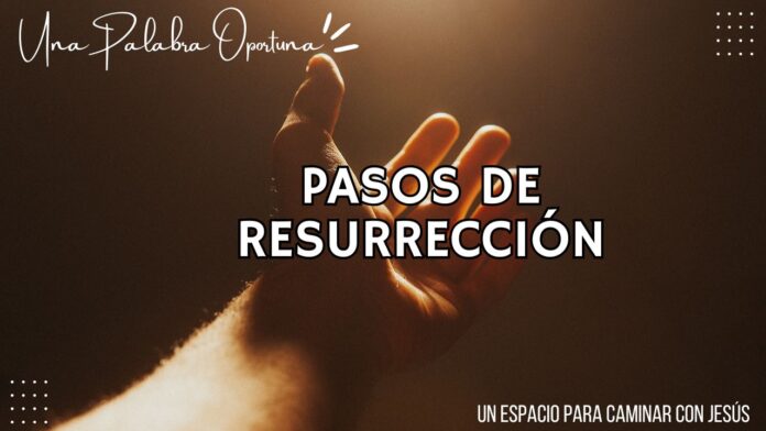 Una Palabra Oportuna