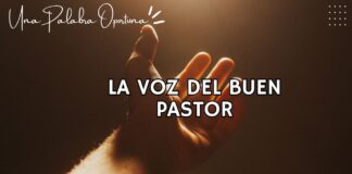 Una Palabra Oportuna 4661 Una Palabra Oportuna