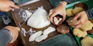 Aprolac Bolívar busca “la partida de nacimiento del queso guayanés”