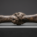 Koinonía reconciliación