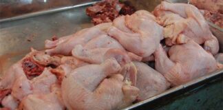 El costo del pollo lo consolida como la primera opción proteica en el oeste de Maracaibo