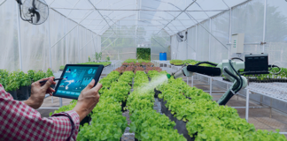 AgroCognitive: tecnología que impulsa la descarbonización agrícola en Venezuela