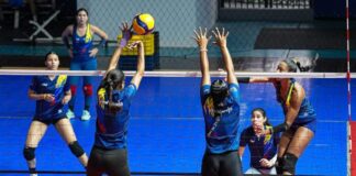 Venezuela llama a su preselección mayor de voleibol en masculino y femenino