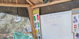 Oriana Iguarán: una wayuu sembradora de identidad