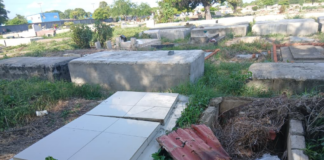 Cementerio de San Fernando