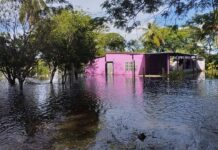 Unas 87 familias del sector La Granja en Apure se encuentran inundadas