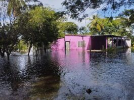 Unas 87 familias del sector La Granja en Apure se encuentran inundadas