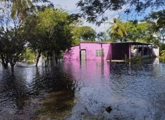 Unas 87 familias del sector La Granja en Apure se encuentran inundadas