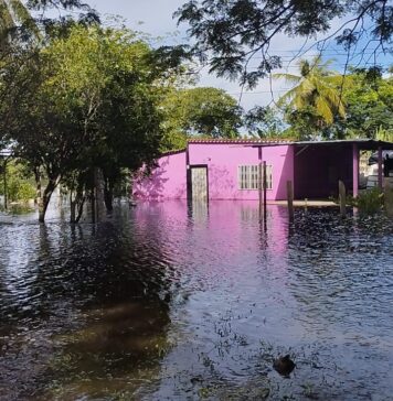 Unas 87 familias del sector La Granja en Apure se encuentran inundadas