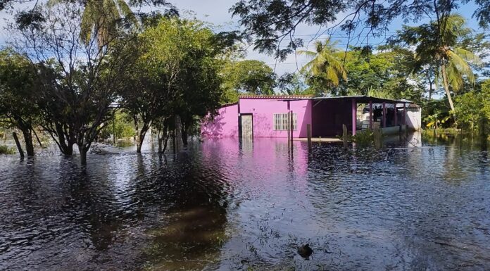 Unas 87 familias del sector La Granja en Apure se encuentran inundadas