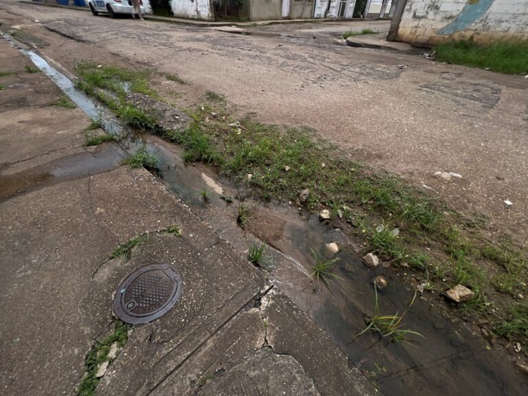 Aguas enegras en El Caro (2)