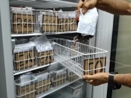 Mérida conmemoró el Día Mundial del Donante de Sangre