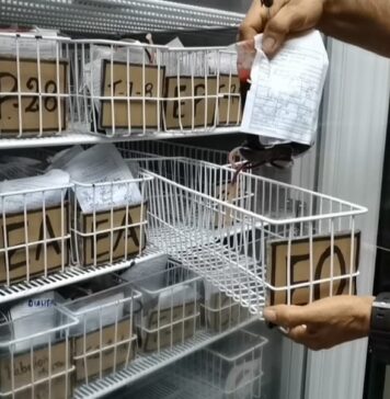 Mérida conmemoró el Día Mundial del Donante de Sangre