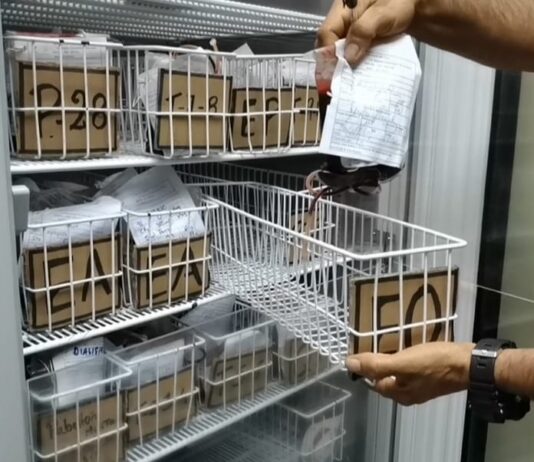 Mérida conmemoró el Día Mundial del Donante de Sangre