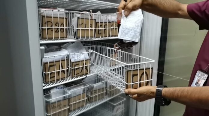 Día Mundial del Donante de Sangre (1)