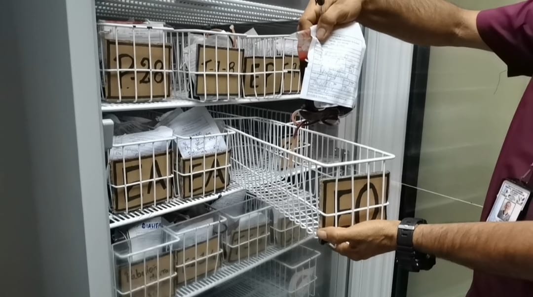 Día Mundial del Donante de Sangre (1)