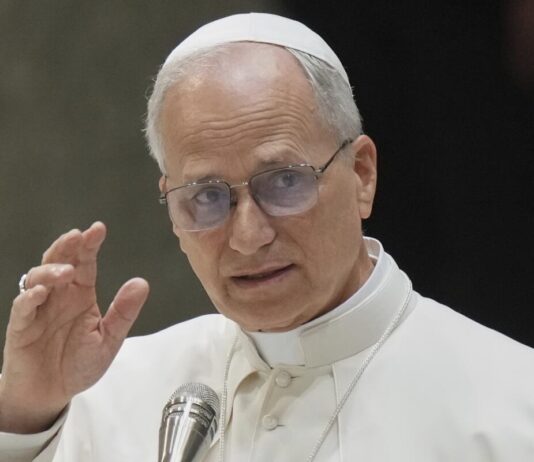 El papa insta a los gobernantes a acoger a las víctimas de persecución