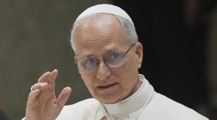 El papa insta a los gobernantes a acoger a las víctimas de persecución