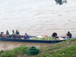 Ascenso del río Orinoco amenazó sus cosechas en Delta Amacuro y tuvo que llevarlas a Monagas