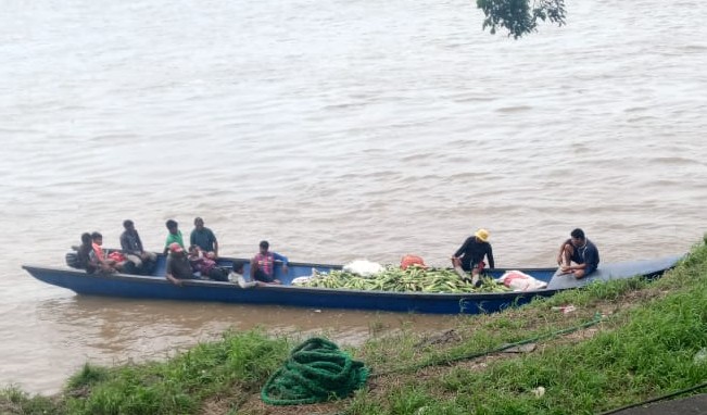 Ascenso del río Orinoco amenazó sus cosechas en Delta Amacuro y tuvo que llevarlas a Monagas