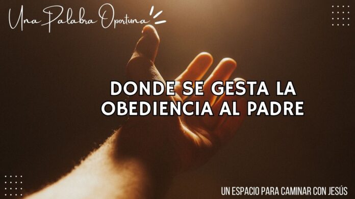 UPO 13-06-2026 MAÑANA Una Palabra Oportuna