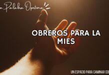 Una Palabra Oportuna