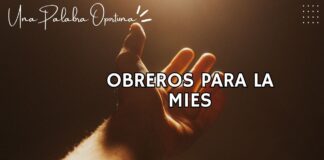Una Palabra Oportuna