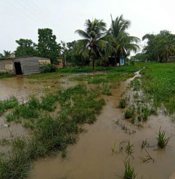 Varias comunidades de Tucupita están inundadas por las lluvias