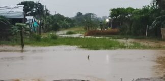 Cinco comunidades siguen inundadas en Guasdualito