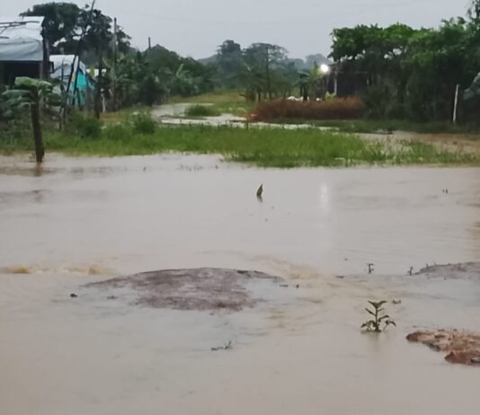 Al menos 13 comunidades resultan afectadas por las lluvias en Guasdualito