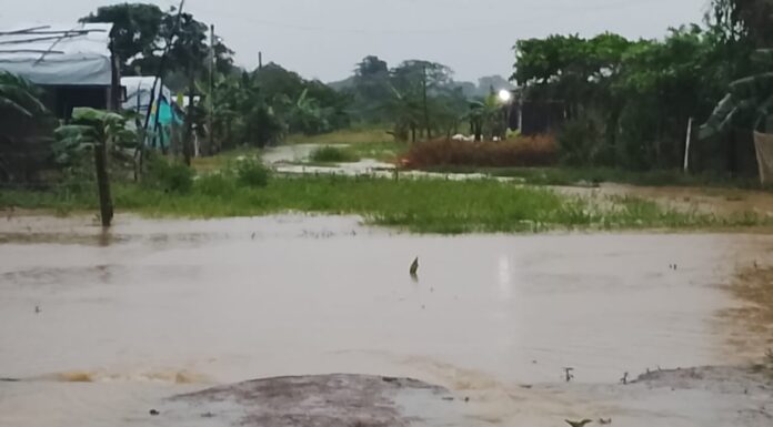 Cinco comunidades siguen inundadas en Guasdualito