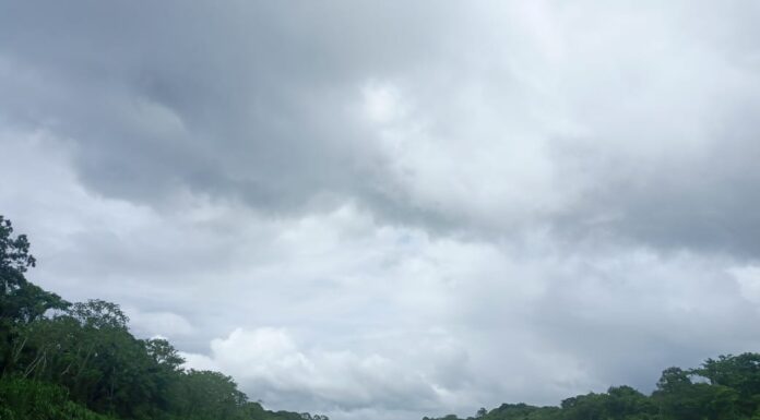 El río Orinoco estaría subiendo dos pulgadas diarias por las lluvias en Delta Amacuro