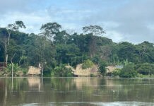 Fuertes lluvias provocan inundaciones en comunidades del Alto Orinoco