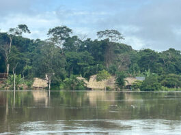 Fuertes lluvias provocan inundaciones en comunidades del Alto Orinoco