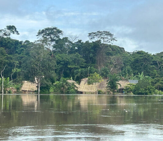 Fuertes lluvias provocan inundaciones en comunidades del Alto Orinoco