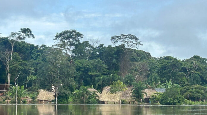 Fuertes lluvias provocan inundaciones en comunidades del Alto Orinoco
